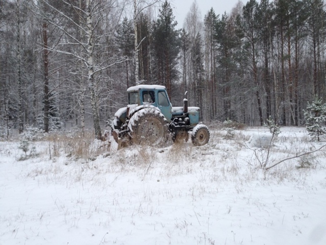 На Южном Урале тракторист вдруг поломал полсотни сосен