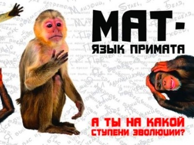 В России вступил в силу закон о мате. Article_big_57911399352388