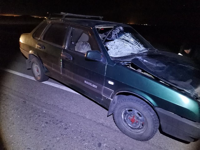 В Челябинской области ночью произошла смертельная авария