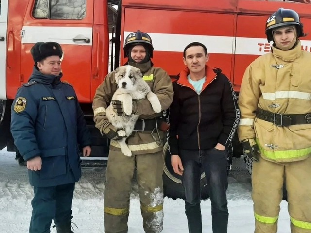 На Южном Урале пожарные спасли замерзающего на улице щенка