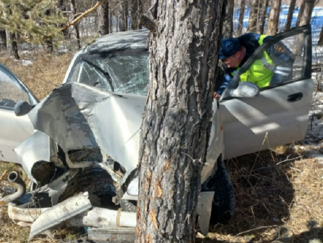В Челябинской области водитель погиб, врезавшись в дерево
