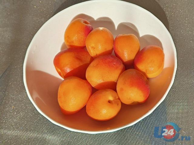 Российский диетолог назвала неожиданные полезные свойства абрикосов