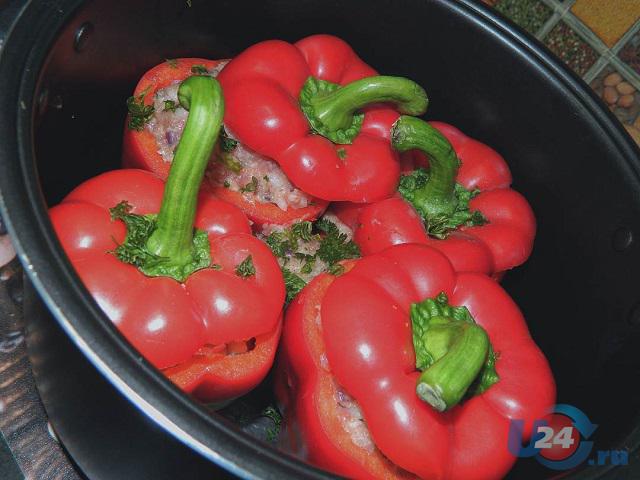 Блюда из болгарского перца: рецепты на каждый день и идеи заготовки овощей на зиму
