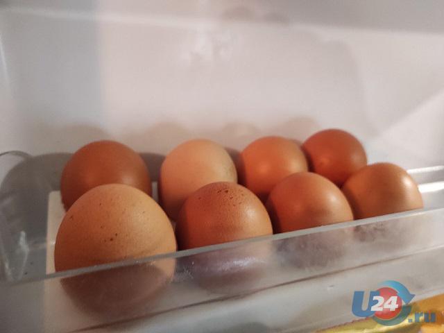 Диетолог рассказала, сколько можно есть яиц в неделю