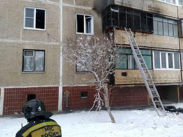 Сотрудники МЧС реанимировали кошку после пожара в Челябинской области