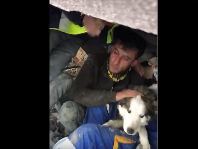 В Турции из-под завалов вытащили живых собак, которые провели под обломками более 20 дней