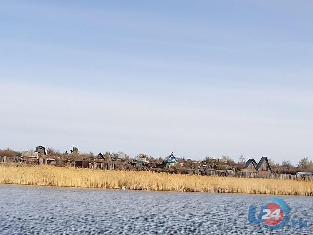 Прокуратура проводит проверку информации о гибели лебедей на южноуральском озере