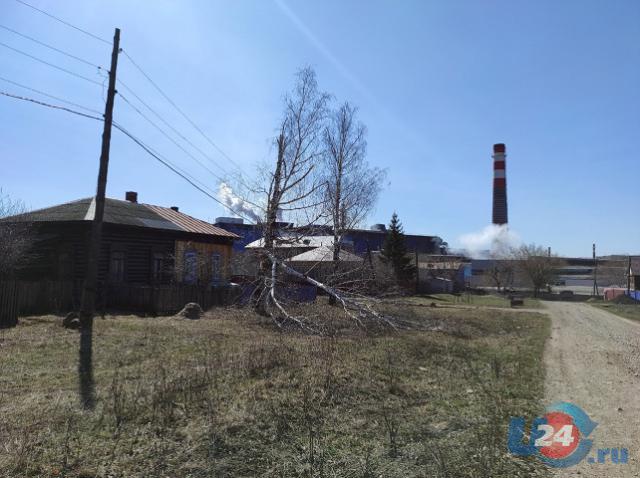 Поломанные деревья и более суток без электричества: в Аше бушует штормовой ветер