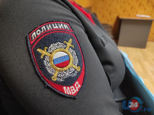 Челябинские полицейские перехватили два беспилотника в День Победы