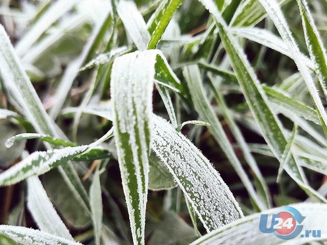 В Челябинской области ожидаются заморозки до минус 3 градусов