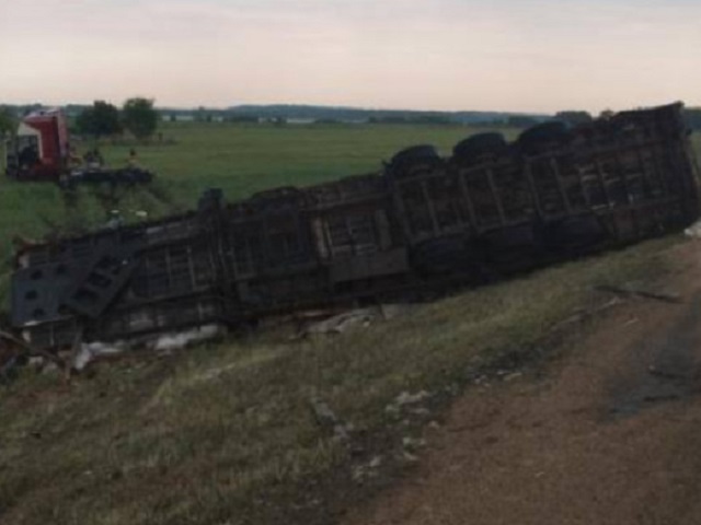 Пассажирка погибла в перевернувшейся фуре на трассе в Челябинской области