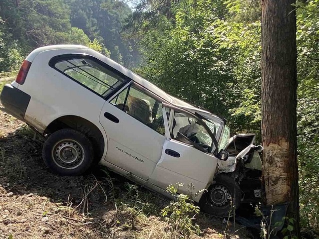 Водителю стало плохо: на Южном Урале иномарка влетела в дерево