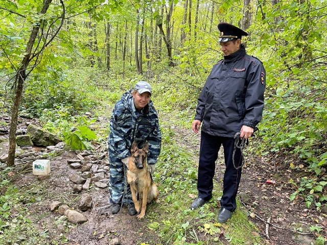 Была привязана к дереву несколько дней: в Аше полицейские спасли брошенную собаку 