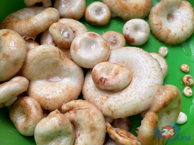 В Челябинской области школьница умерла, отравившись грибами