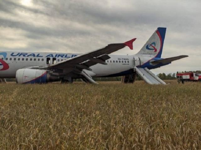 Самолет «Уральских авиалиний» аварийно сел в поле 