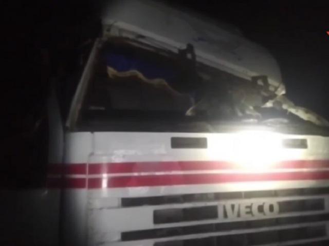 Выпавшее бревно из грузовика раздавило водителя из Челябинской области