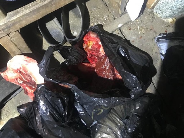 В Челябинской области задержали подозреваемого в отстреле лосей
