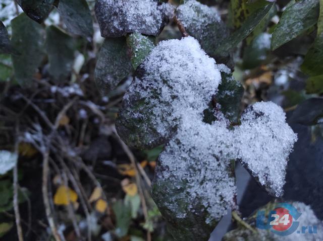 Из-за южного циклона Урал накроет ледяной дождь