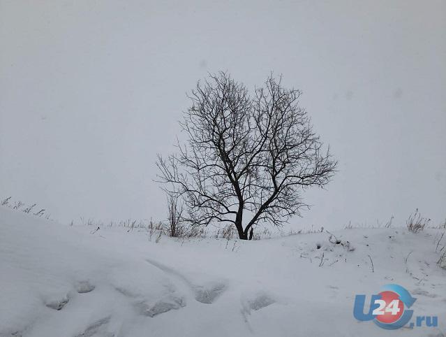 Лютые морозы до -38 сохранятся в выходные в Челябинской области