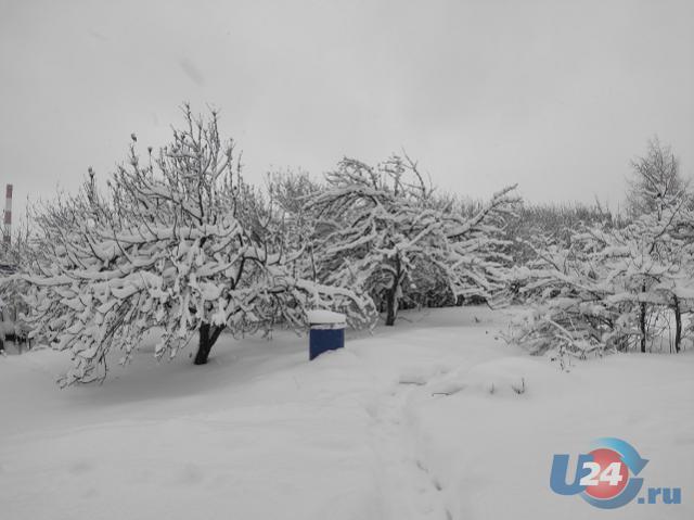 Метели и -8: прогноз погоды в Челябинской области на 26 декабря