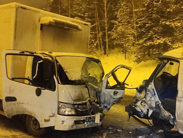 В Челябинской области при лобовом столкновении грузовиков серьезно пострадали оба водителя