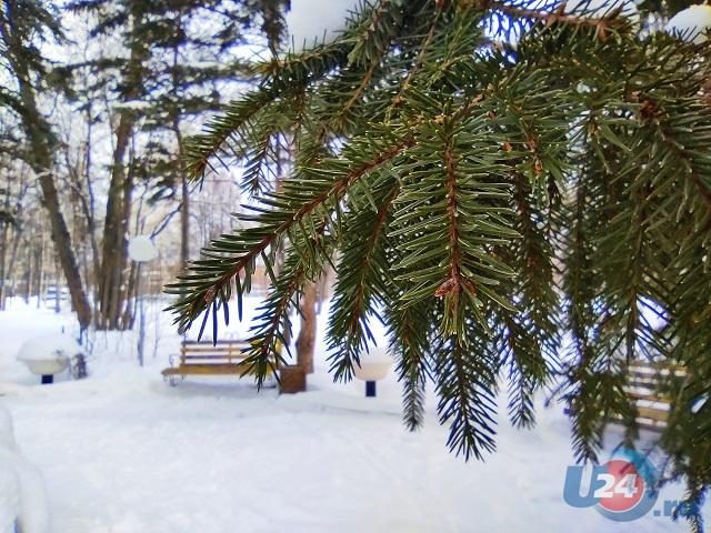 В Челябинской области ожидается похолодание до минус 21 ℃