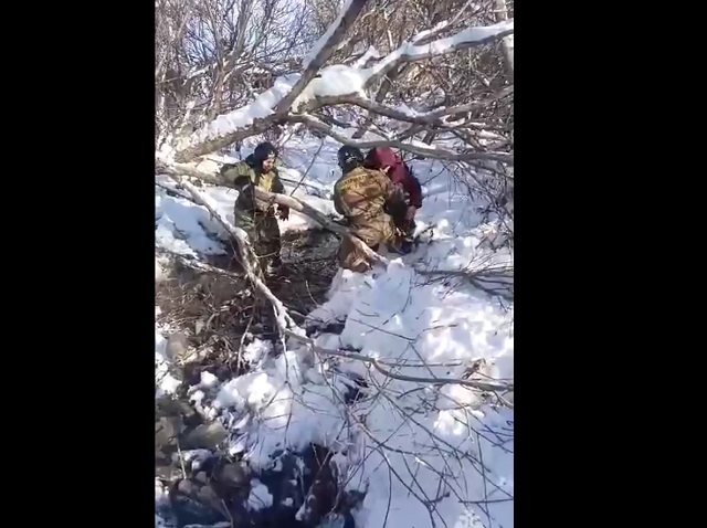 В Челябинской области пенсионерка едва не погибла, спасая упавшую в ручей собаку
