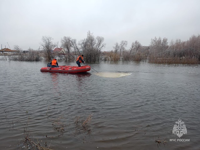 На юге Челябинской области началось снижение уровня паводковых вод