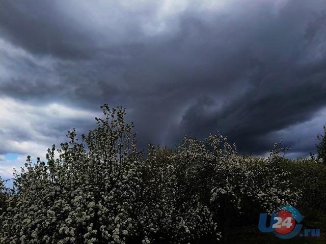 Возможны дожди и мокрый снег: какая погода ожидает южноуральцев 7 мая?