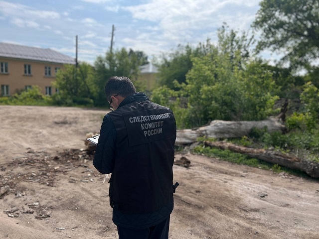 В Челябинской области упавшее дерево насмерть придавило пенсионерку