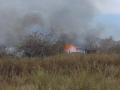 В Троицке пожар уничтожил 400 квадратных метров сараев 