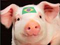 Свинина по-бразильски: Россия выбилась в лидеры по импорту латиноамериканского мяса
