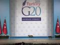 Видео дня от U24.Ru: кошки на саммите «Большой двадцатки» в Турции