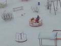 Видео дня: южноуральцы сняли забавный ролик с катающейся на карусели собакой