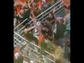 Футбольные болельщики поймали кота, сорвавшегося с верхней трибуны стадиона. Видео