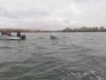 На Южном Урале утонул рыбак