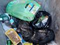 «Убивали топором»: южноуральские волонтеры выхаживают собаку, найденную в мусорном баке с пробитой головой