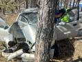 В Челябинской области водитель погиб, врезавшись в дерево