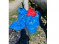 В Челябинской области нашли семь мешков с мертвыми кошками и собаками