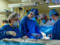 Челябинские кардиохирурги выполнили уникальную операцию по замене клапана и части аорты с помощью гомографта