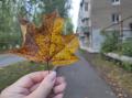 День Осеннего равноденствия: приметы, традиции праздника