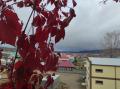 Дождь, ветер и гололед ожидаются в среду, 19 октября, в Челябинской области