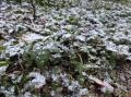 Мокрый снег с дождем пройдет в выходные в Челябинской области
