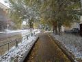 Мокрый снег и гололедица: какая погода ожидает южноуральцев 1 ноября