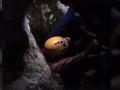 На Южном Урале пятеро взрослых и двое детей застряли в пещере