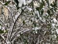 Небольшой снег и гололедица: какая погода ожидает южноуральцев 8 ноября