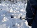 В Челябинской области в лесу насмерть замёрз мужчина