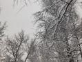 В Челябинской области сохраняются ночные заморозки до -28 градусов 