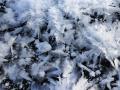 Хрупкая красота: в Челябинской области «выросли» ледяные цветы