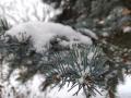 Туманы и изморозь: какая погода ждет южноуральцев во вторник, 6 декабря